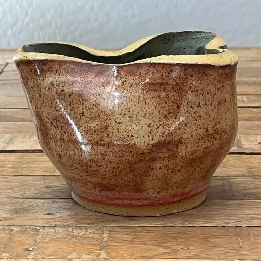 Studio Art Pottery Ceramic Organic Bowl 4.5